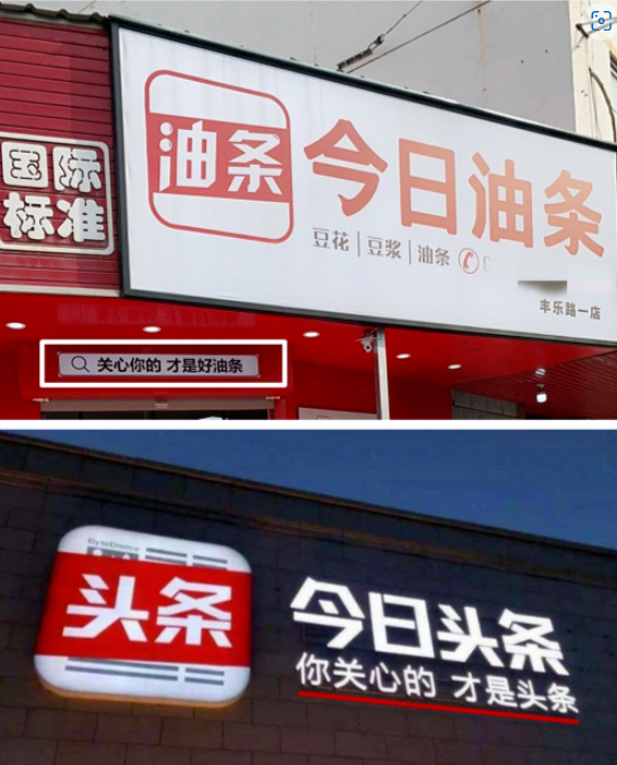 环渤海新闻网深度报道：渤海湾生态修复十年记