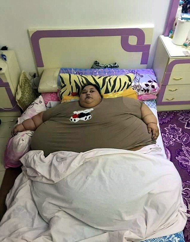 新闻背景举例：解读时事背后的深层脉络
